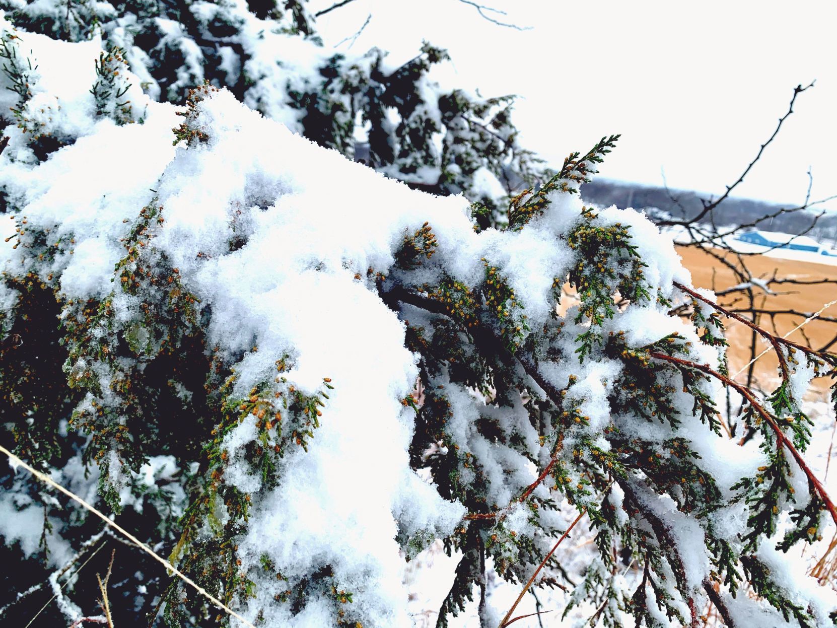 Wagoner County Snow Day